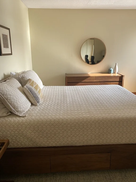 2 bed, 2 bath apartment for rent at 22 Parkman Unit 3, Coolidge Corner — photo 9 of 16