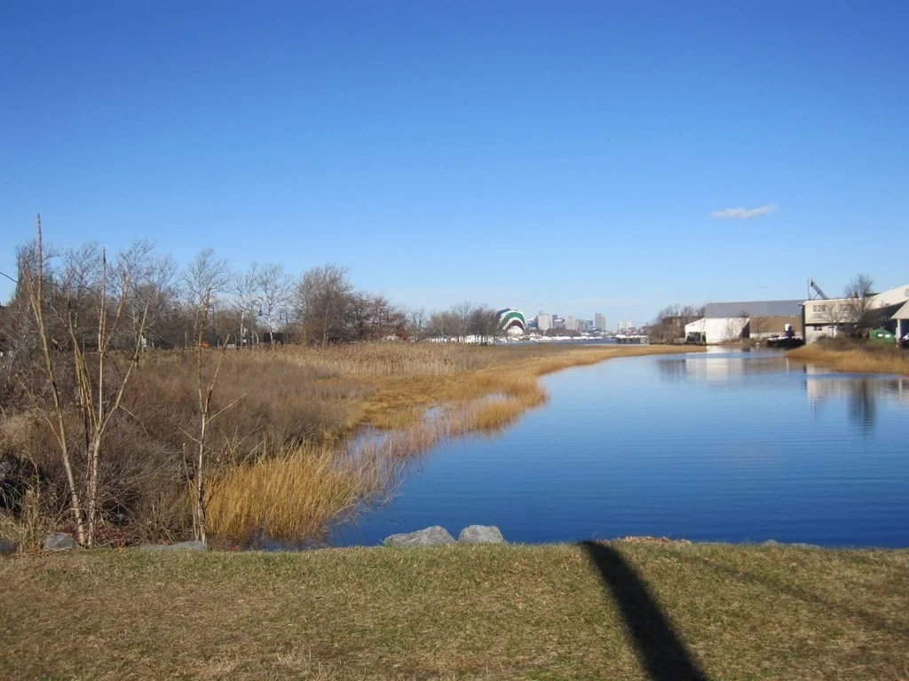 2 bed, 1 bath apartment for rent at 22 Woodworth Unit Top, Dorchester — photo 26 of 39