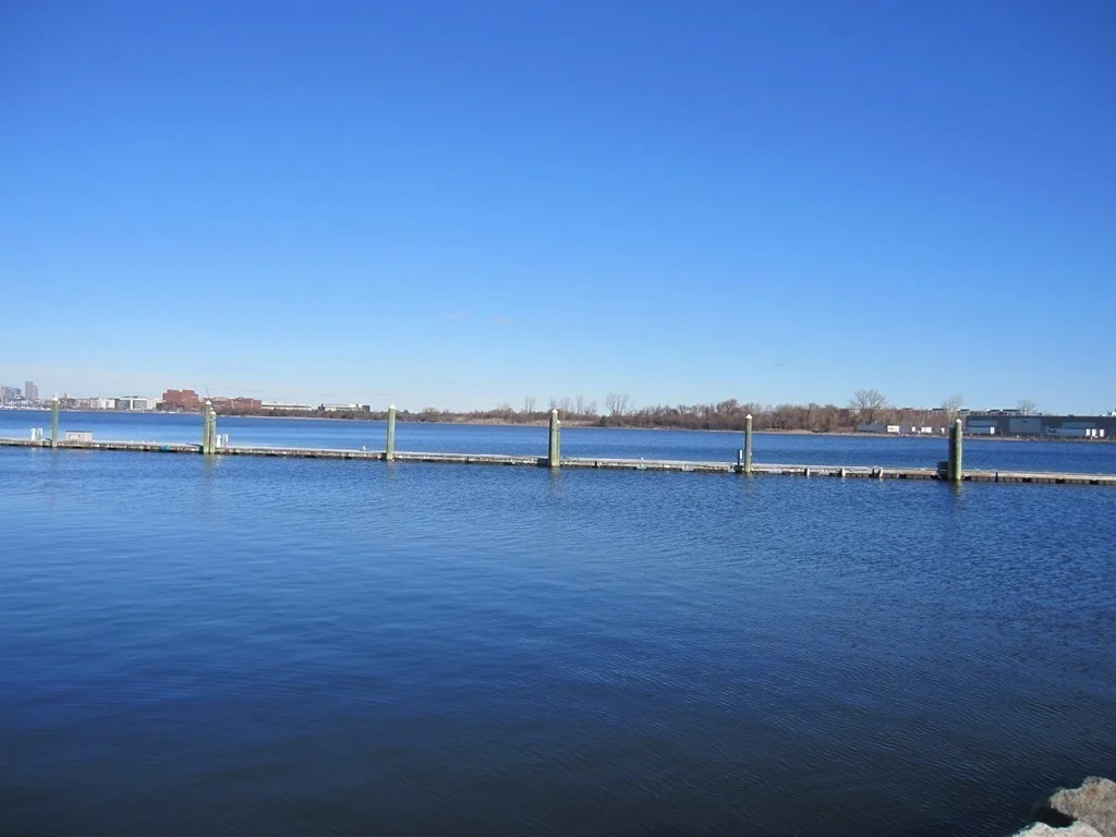 2 bed, 1 bath apartment for rent at 22 Woodworth Unit Top, Dorchester — photo 27 of 39