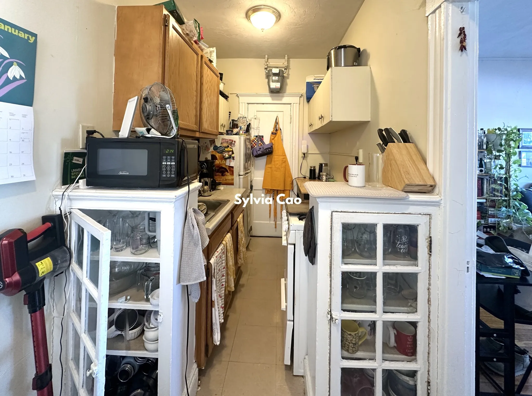 1 bed, 1 bath apartment for rent at 220 Kelton St Unit 16-1, Allston — photo 5 of 13