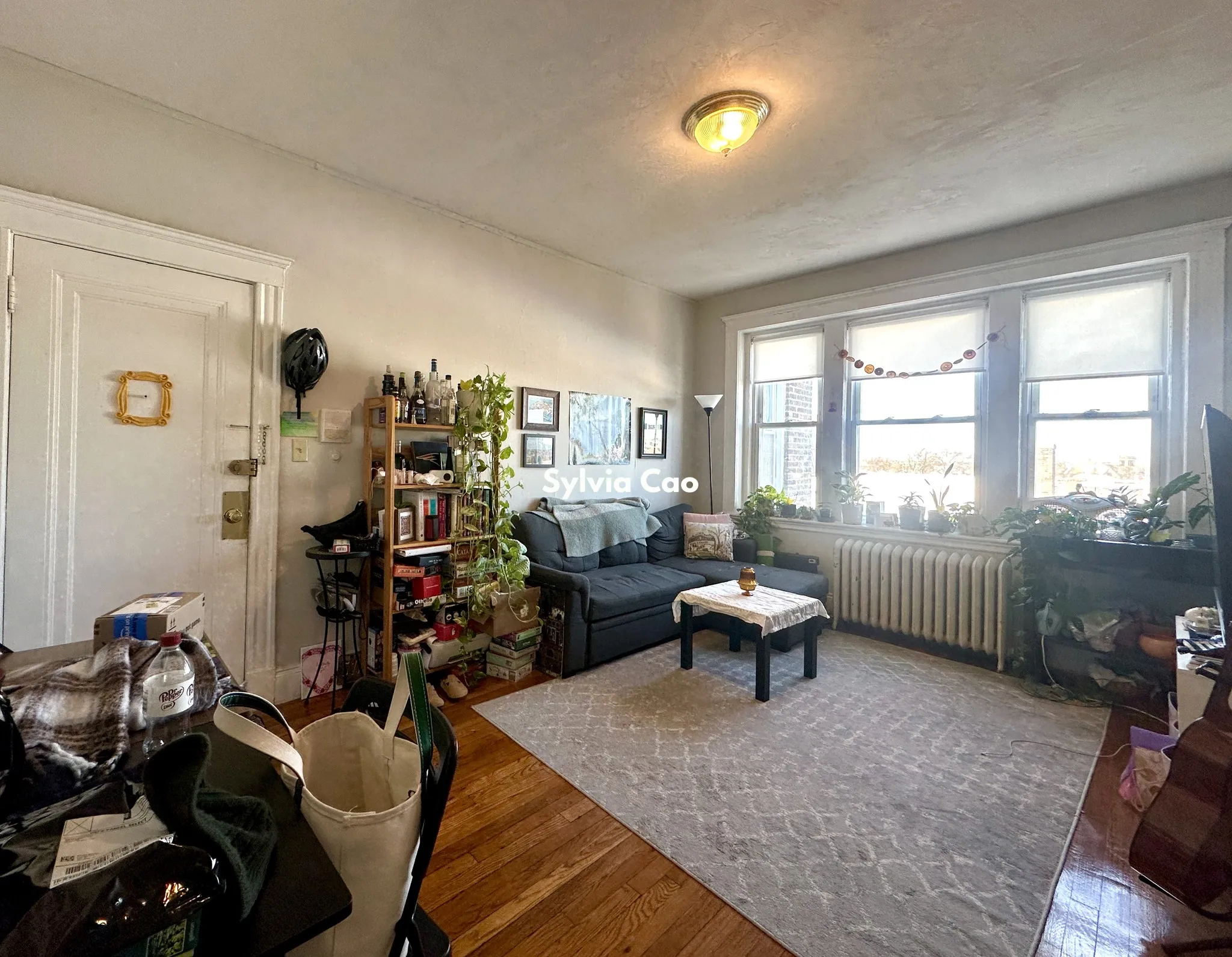 1 bed, 1 bath apartment for rent at 220 Kelton St Unit 16-1, Allston — photo 2 of 13