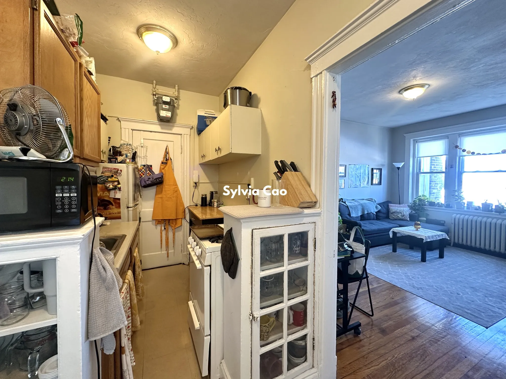 1 bed, 1 bath apartment for rent at 220 Kelton St Unit 16-1, Allston — photo 4 of 13
