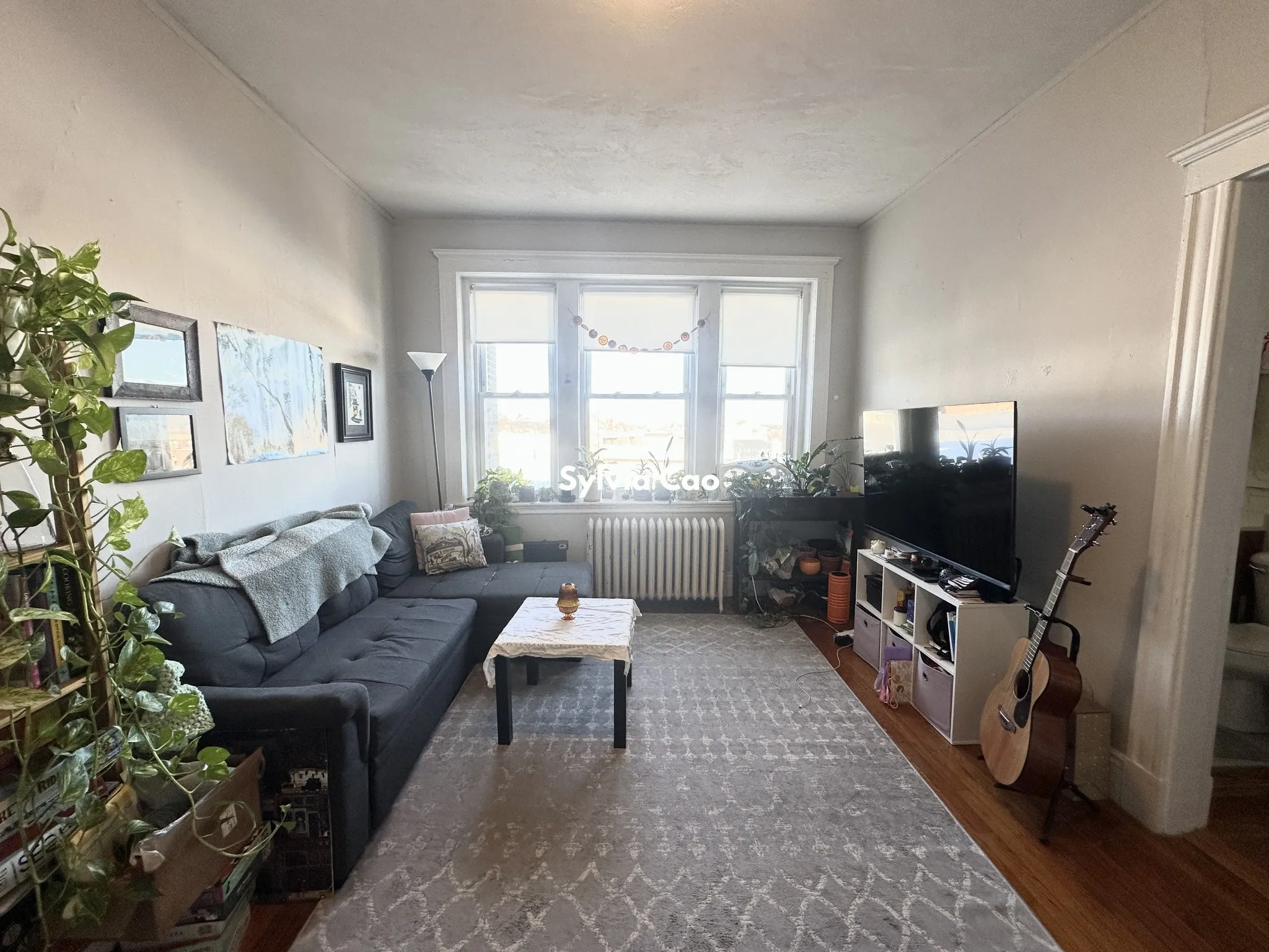 1 bed, 1 bath apartment for rent at 220 Kelton St Unit 16-1, Allston — photo 3 of 13