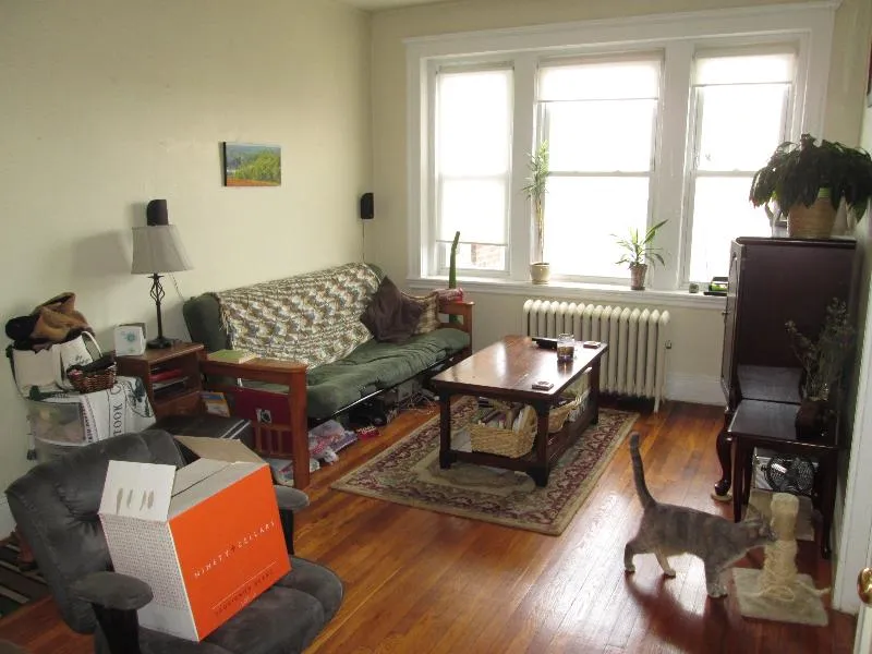 1 bed, 1 bath apartment for rent at 220 Kelton St Unit 16, Allston
