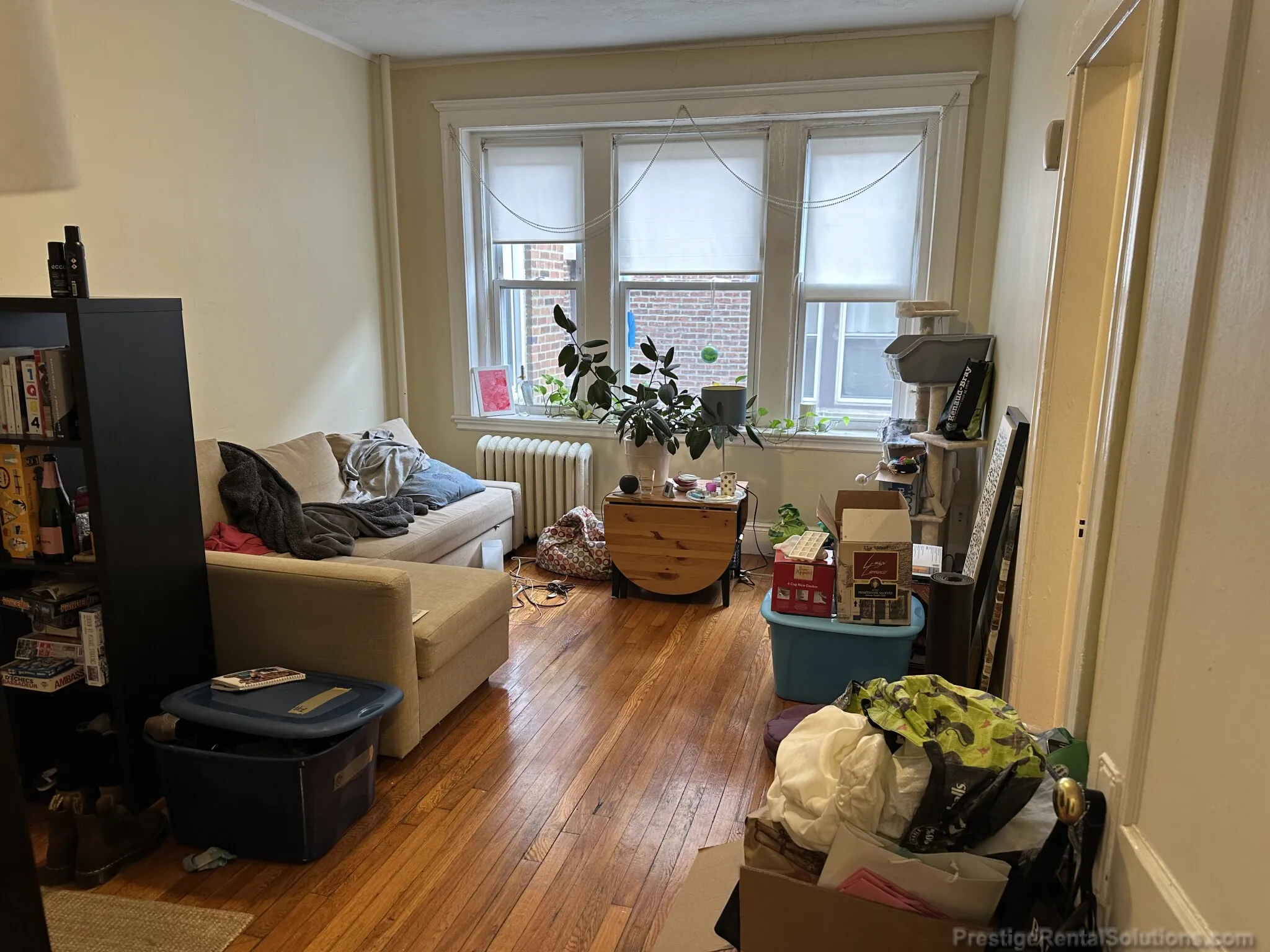 1 bed, 1 bath apartment for rent at 220 Kelton St Unit 4, Allston