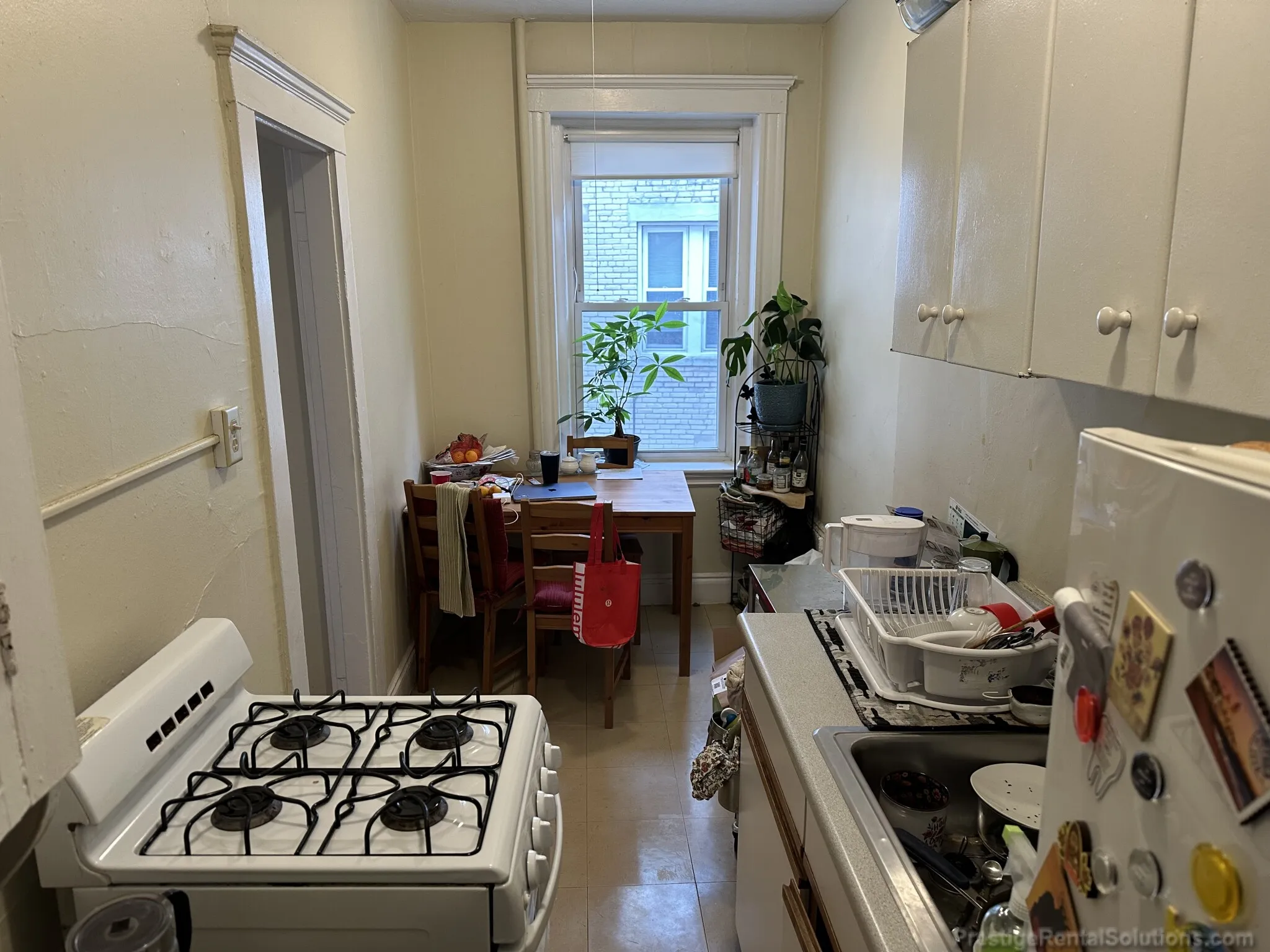 1 bed, 1 bath apartment for rent at 220 Kelton St Unit 4, Allston — photo 15 of 20
