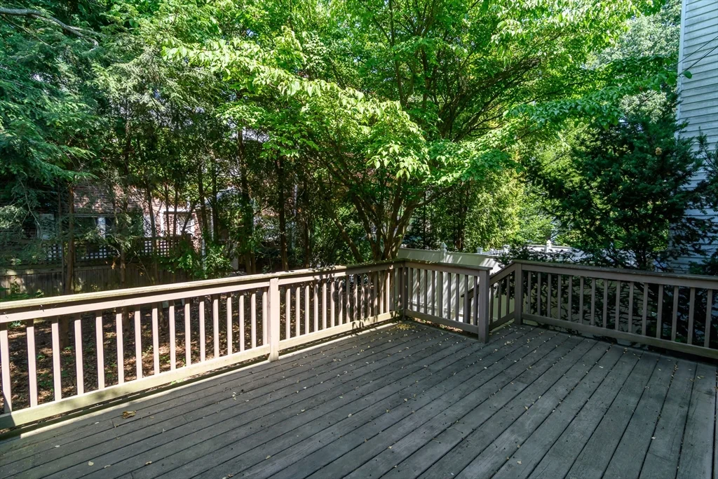 3 bed, 2 bath apartment for rent at 220 Kent St Unit 220, Coolidge Corner — photo 19 of 20