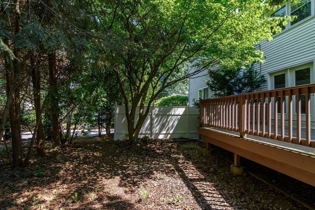 3 bed, 2 bath apartment for rent at 220 Kent St Unit 220, Coolidge Corner — photo 19 of 21