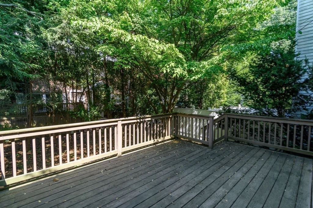 3 bed, 2 bath apartment for rent at 220 Kent St Unit 220, Coolidge Corner — photo 17 of 21