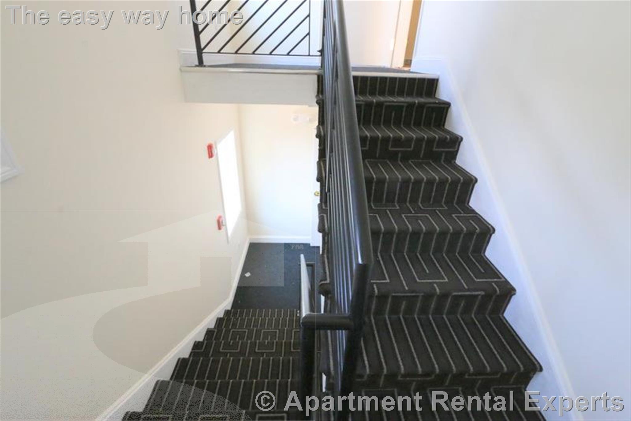 1 bed, 1 bath apartment for rent at 220 Massachusetts Ave Unit 3, East Arlington — photo 2 of 11