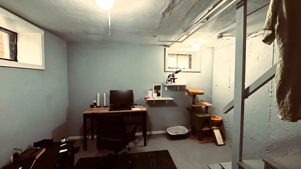 1 bed, 1 bath apartment for rent at 220R Hamilton St Unit 1, Cambridgeport — photo 6 of 9