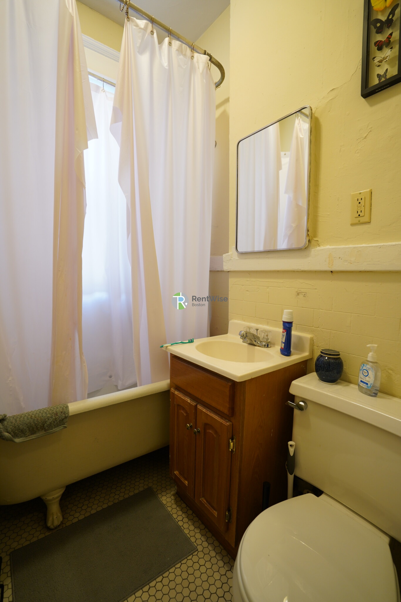 Studio bed, 1 bath apartment for rent at 221 Kelton St Unit 9, Brighton — photo 9 of 10