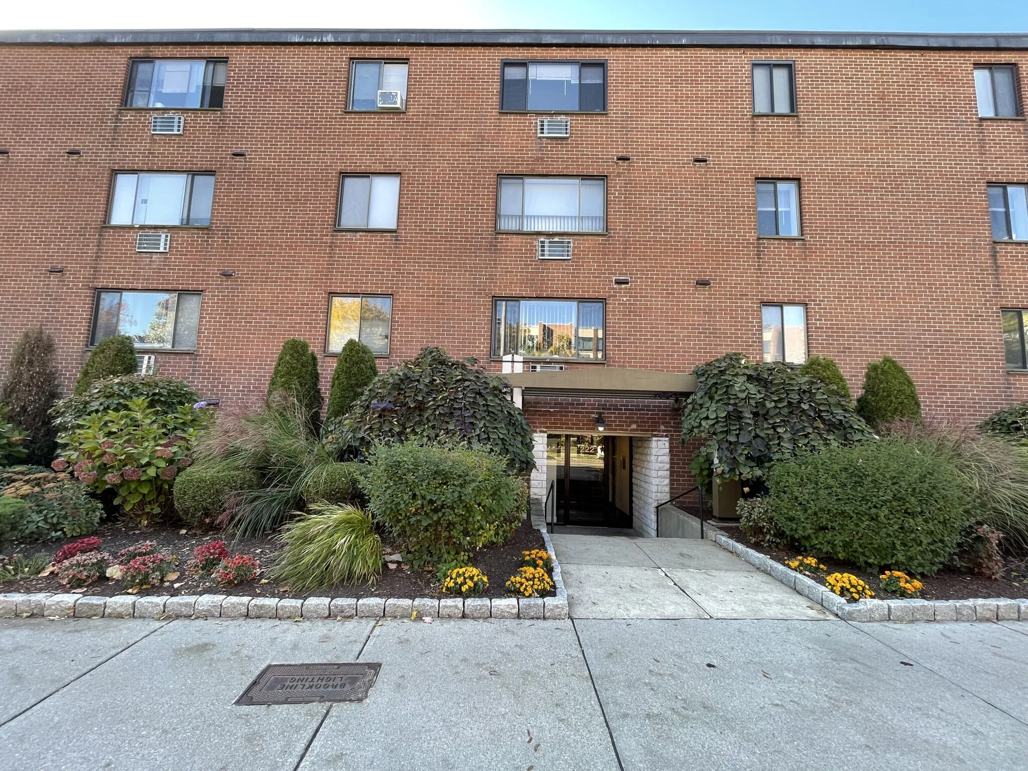 Studio bed, 1 bath apartment for rent at 222 Babcock St Unit 1C, Coolidge Corner — photo 1 of 2