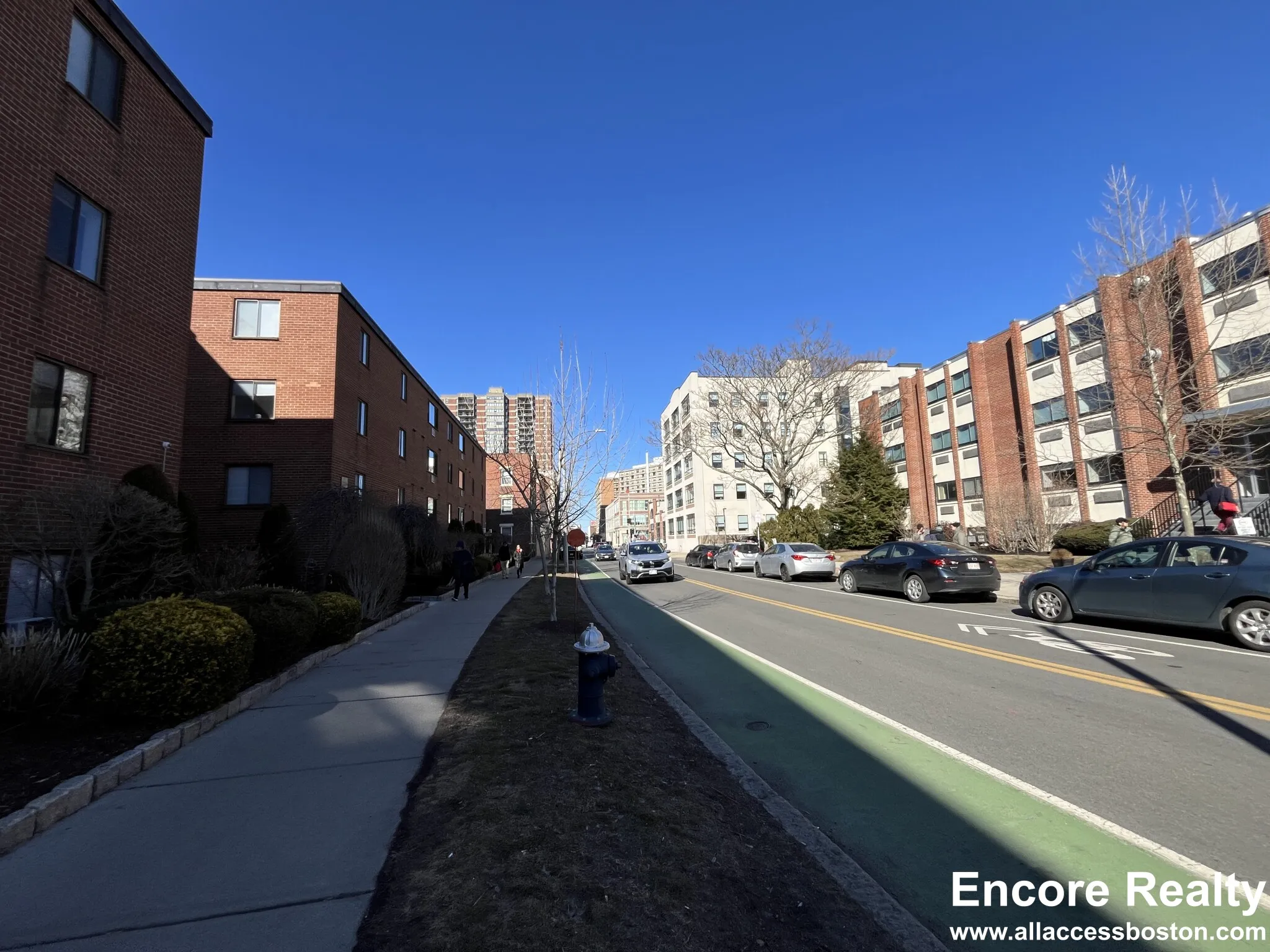 1 bed, 1 bath apartment for rent at 222 Babcock St Unit 1D, North Brookline — photo 11 of 11