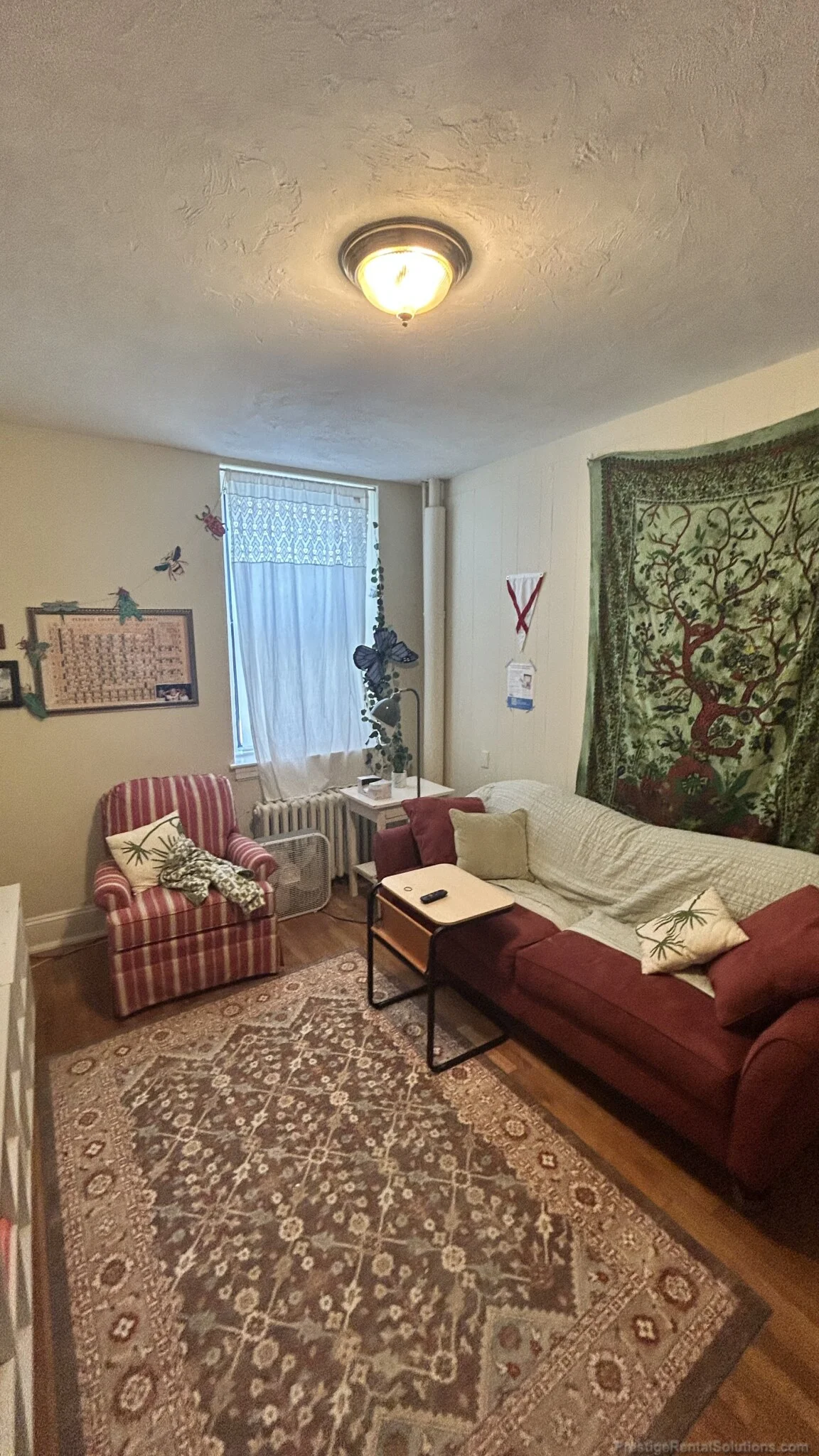1 bed, 1 bath apartment for rent at 223 Essex St Unit 4, Melrose — photo 3 of 19