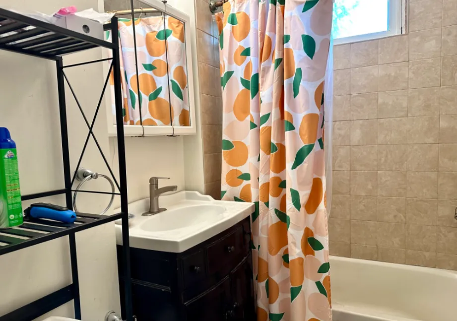 3 bed, 1 bath apartment for rent at 223 Summer St Unit 3, Spring Hill — photo 14 of 16