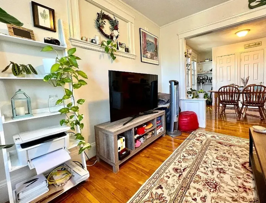 3 bed, 1 bath apartment for rent at 223 Summer St Unit 3, Spring Hill — photo 1 of 16