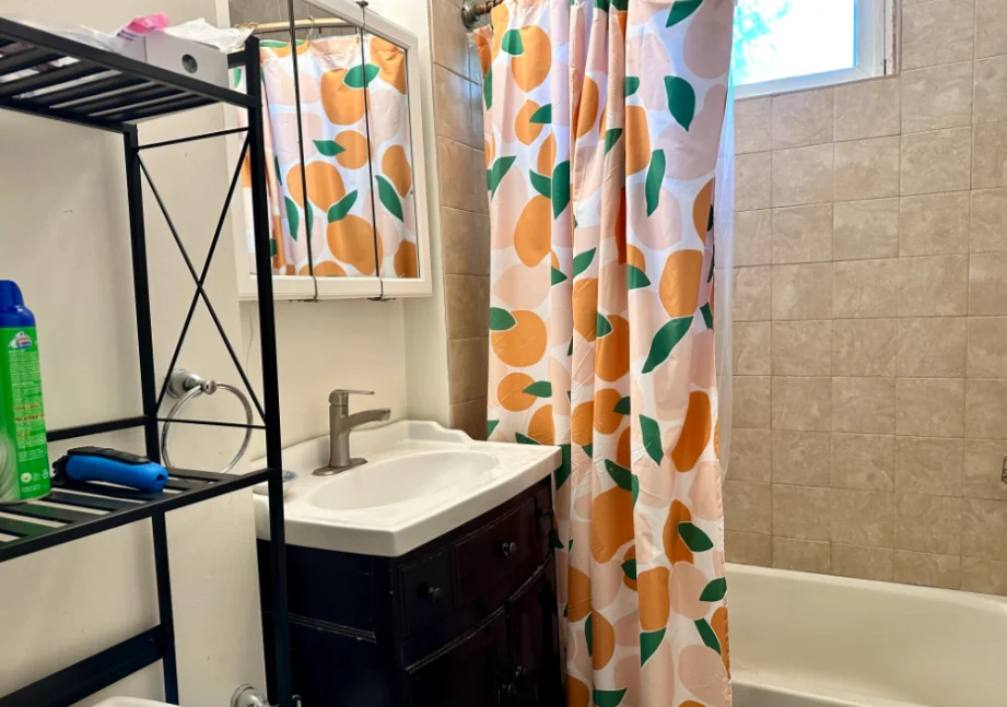 3 bed, 1 bath apartment for rent at 223 Summer St Unit 3LL, Spring Hill — photo 14 of 16