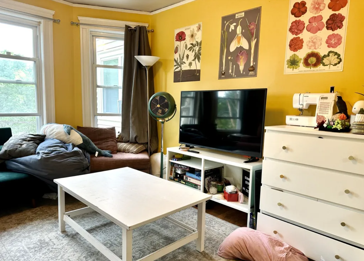 3 bed, 1 bath apartment for rent at 223 Summer St Unit 3R, Spring Hill — photo 3 of 23