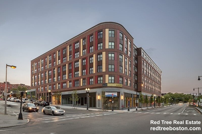 1 bed, 1 bath apartment for rent at 225 Centre St Unit 406, Jamaica Plain — photo 2 of 4