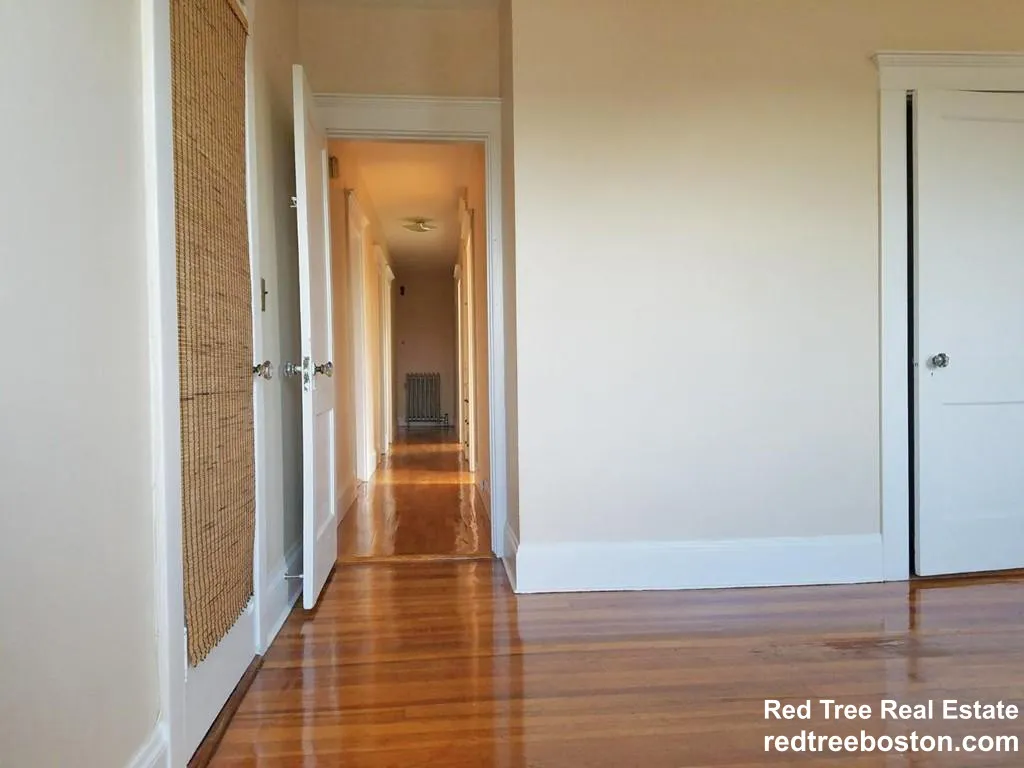 4 bed, 1 bath apartment for rent at 225 Chestnut Hill Ave Unit 1, Brighton — photo 19 of 25