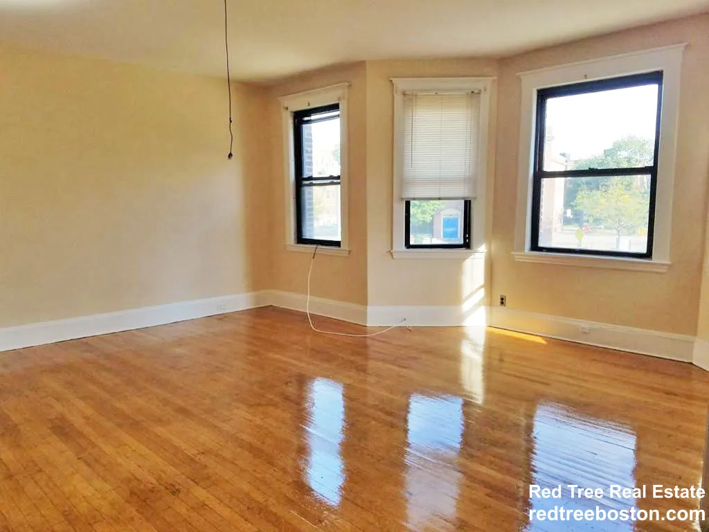 4 bed, 1 bath apartment for rent at 225 Chestnut Hill Ave Unit 1, Brighton — photo 22 of 25