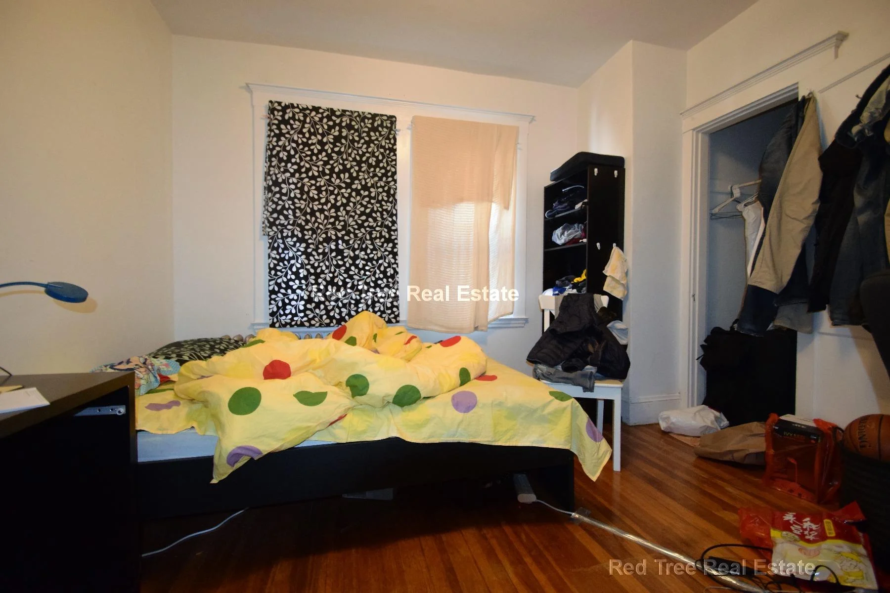 4 bed, 1 bath apartment for rent at 225 Chestnut Hill Ave Unit 2, Brighton — photo 3 of 17