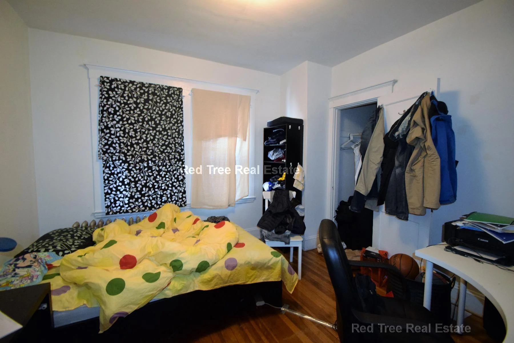 4 bed, 1 bath apartment for rent at 225 Chestnut Hill Ave Unit 2, Brighton — photo 4 of 17
