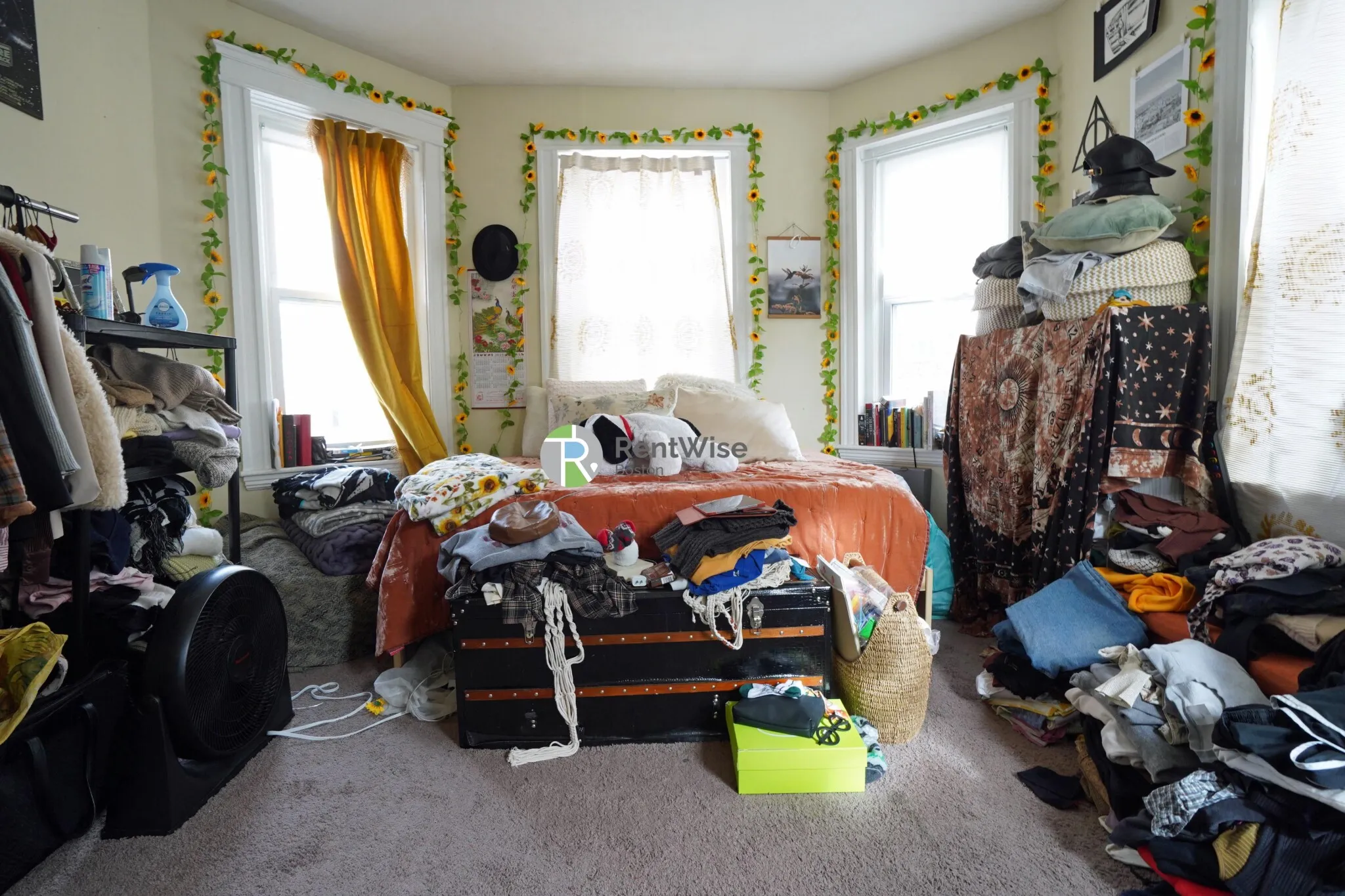 Studio bed, 1 bath apartment for rent at 225 Kelton St Unit 2, Allston — photo 2 of 13