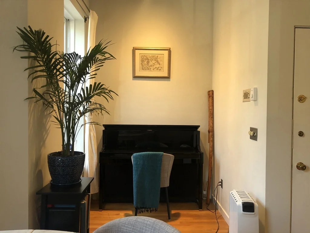 1 bed, 1 bath apartment for rent at 227 W Canton St Unit 2, South End — photo 4 of 11