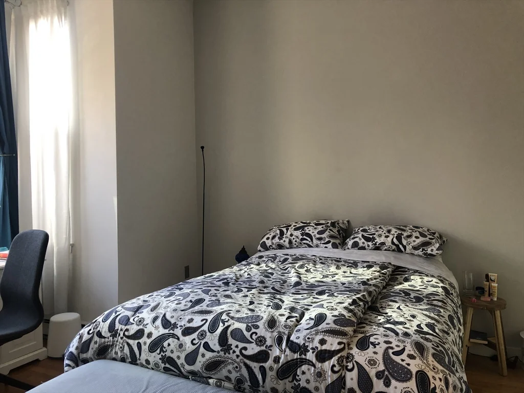 1 bed, 1 bath apartment for rent at 227 W Canton St Unit 2, South End — photo 8 of 11