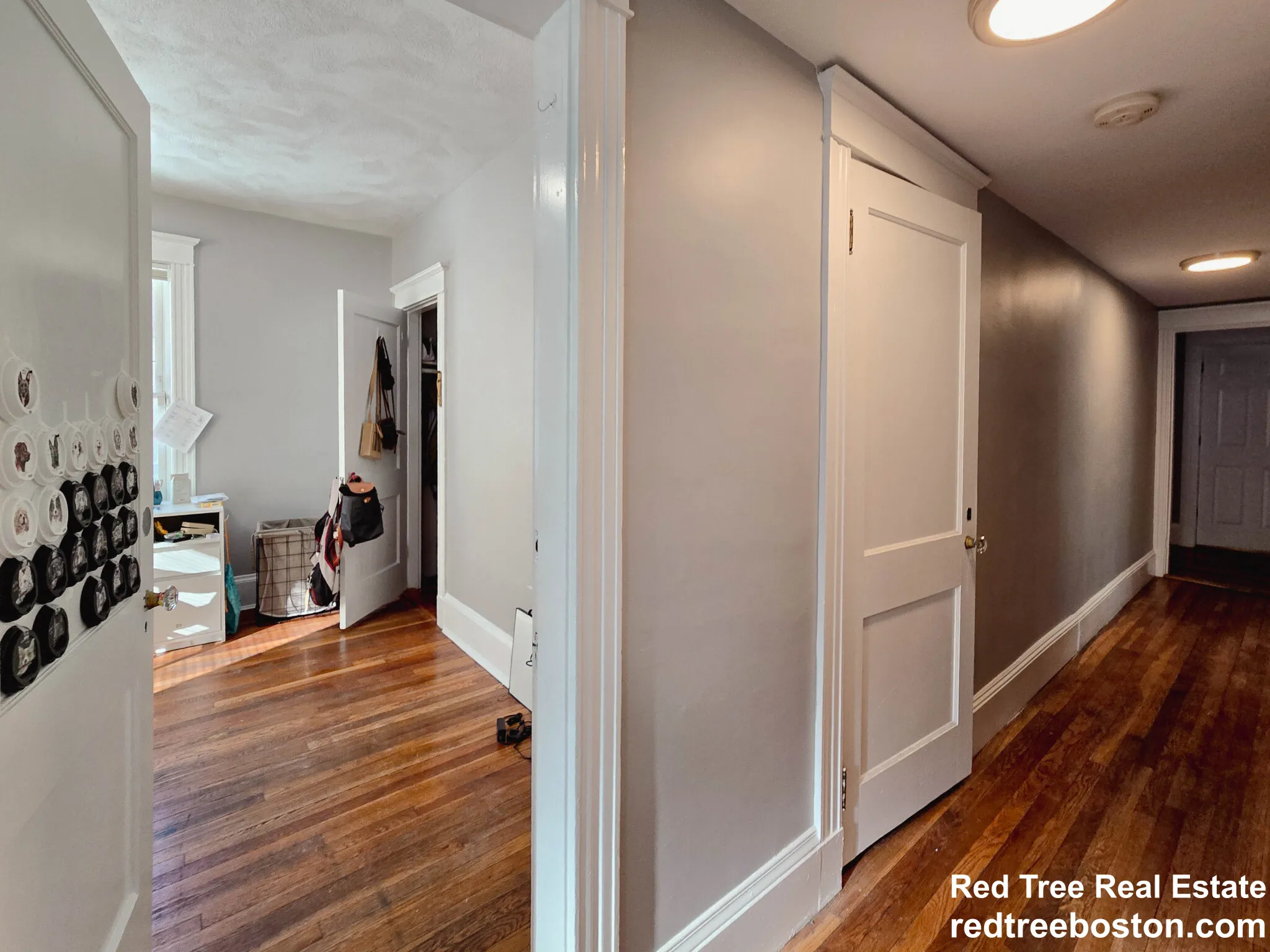 4 bed, 2 bath apartment for rent at 229 Chestnut Hill Ave Unit 1, Brighton — photo 6 of 10