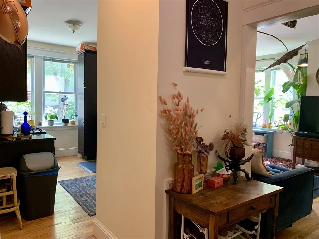 2 bed, 2 bath apartment for rent at 229 Freeman St Unit 2, Coolidge Corner — photo 4 of 12