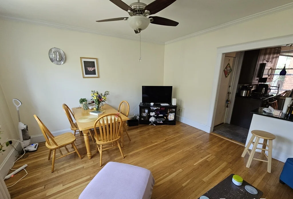 3 bed, 1 bath apartment for rent at 229 Freeman St Unit 3, Coolidge Corner — photo 10 of 10