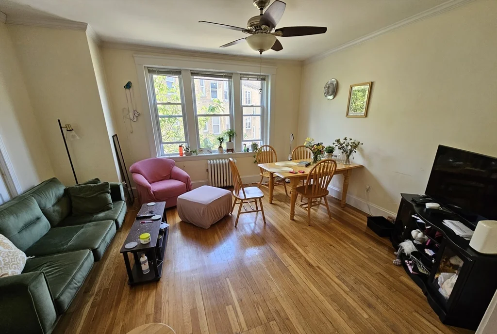 3 bed, 1 bath apartment for rent at 229 Freeman St Unit 3, Coolidge Corner — photo 9 of 10