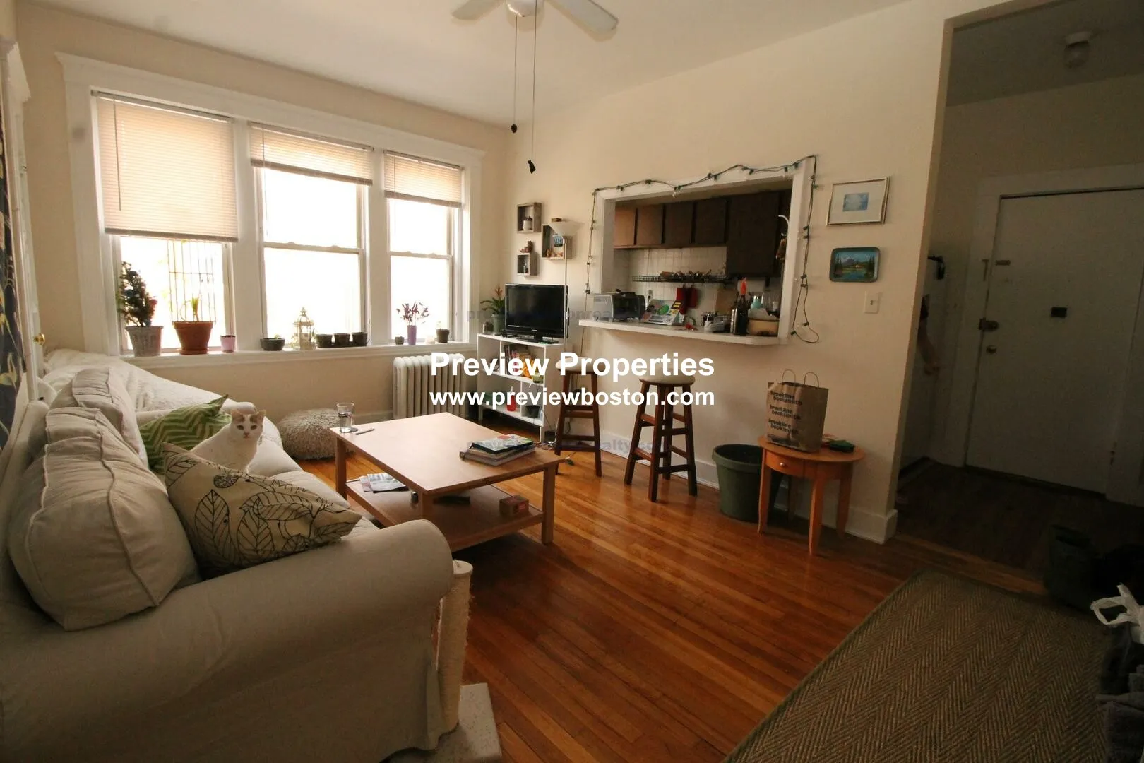 2 bed, 1 bath apartment for rent at 229 Kelton St Unit 7, Brighton — photo 1 of 8