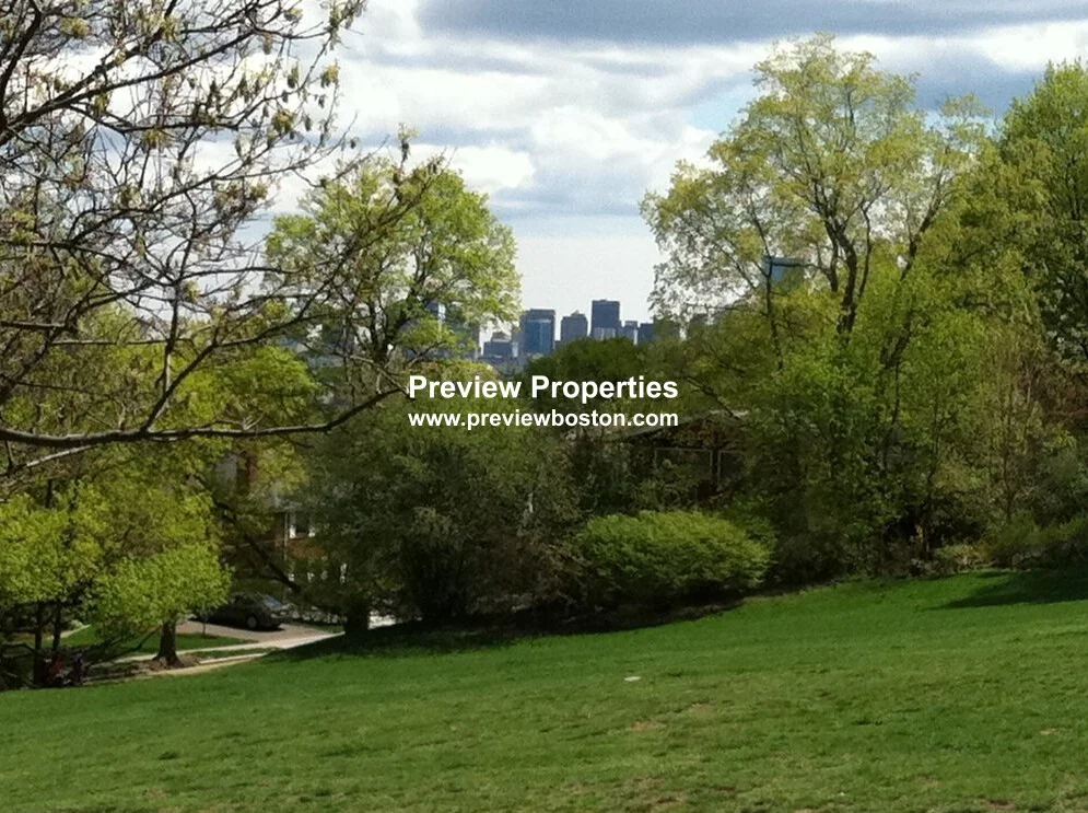 2 bed, 1 bath apartment for rent at 229 Kelton St Unit 7, Brighton — photo 7 of 8
