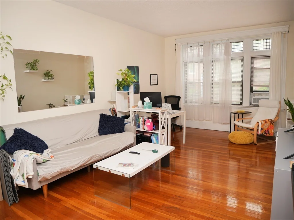 1 bed, 1 bath apartment for rent at 229 Saint Paul St Unit 1, Coolidge Corner — photo 4 of 11