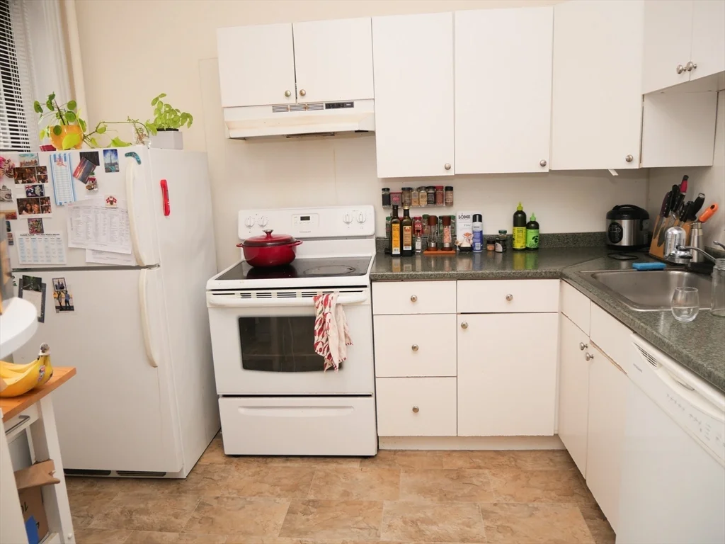 1 bed, 1 bath apartment for rent at 229 Saint Paul St Unit 1, Coolidge Corner — photo 8 of 11
