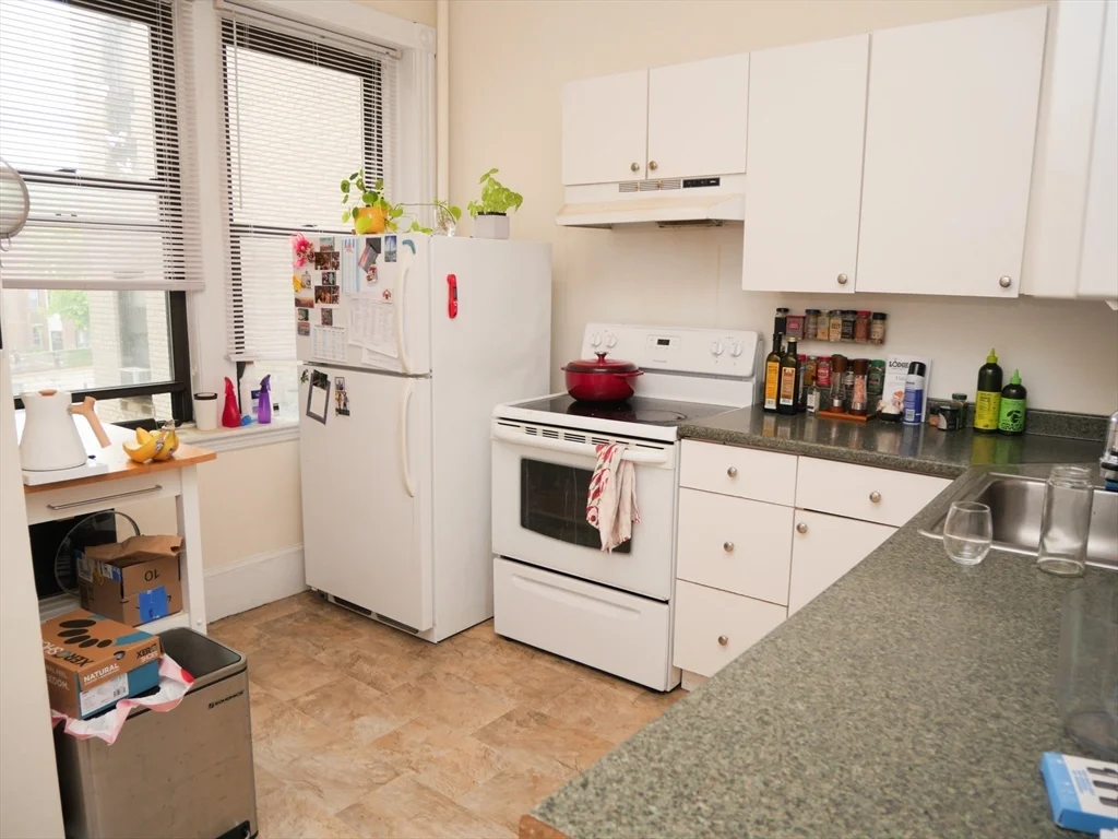 1 bed, 1 bath apartment for rent at 229 Saint Paul St Unit 1, Coolidge Corner — photo 9 of 11