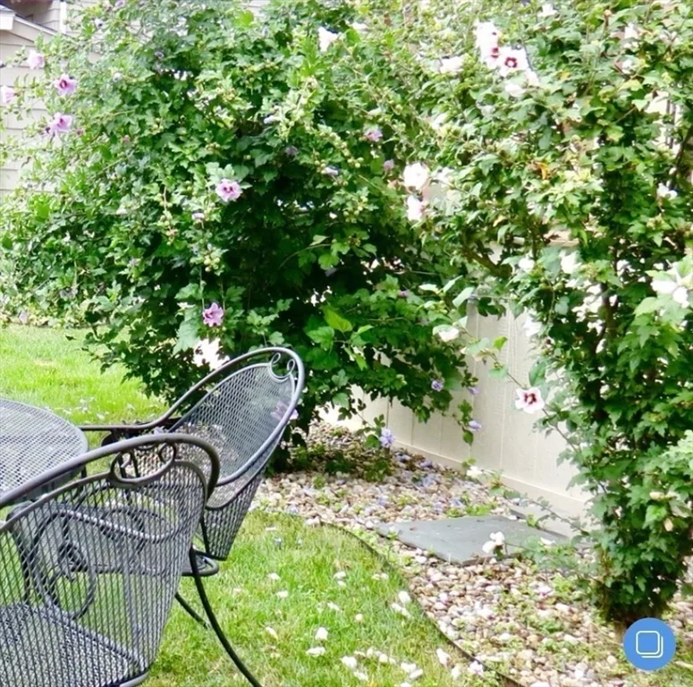 3 bed, 1 bath apartment for rent at 23 Burch St Unit 2, East Arlington — photo 15 of 19