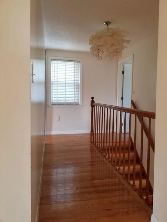 6 bed, 2 bath apartment for rent at 23 Clyde Ter, Arlington — photo 9 of 23