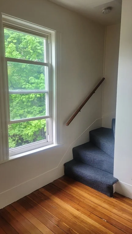 4 bed, 1 bath apartment for rent at 23 Desmond Rd Unit 2, Edgeworth — photo 13 of 17