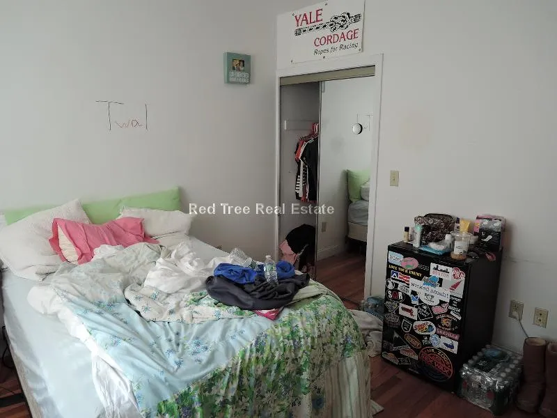 4 bed, 2 bath apartment for rent at 23 Egremont Rd Unit 3, Brighton — photo 5 of 14