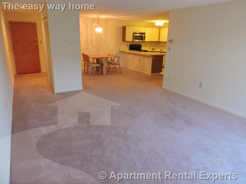 2 bed, 2 bath apartment for rent at 23 Elm St Unit 207, Porter Square — photo 3 of 17