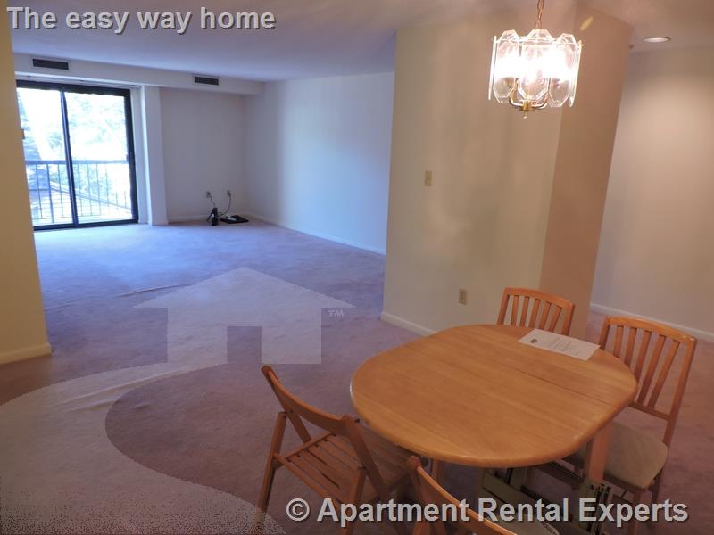 2 bed, 2 bath apartment for rent at 23 Elm St Unit 207, Porter Square — photo 11 of 17