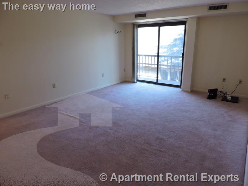 2 bed, 2 bath apartment for rent at 23 Elm St Unit 207, Porter Square — photo 12 of 17