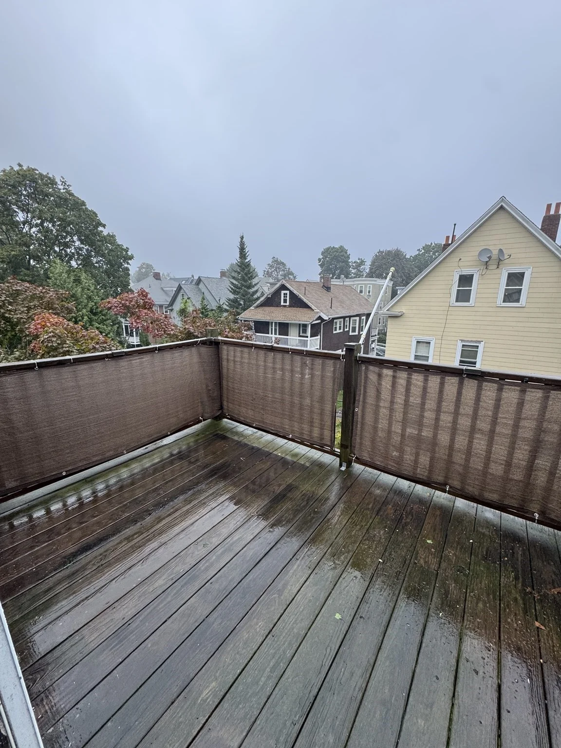 1 bed, 1 bath apartment for rent at 23 Fletcher St Unit 3, Roslindale — photo 16 of 18