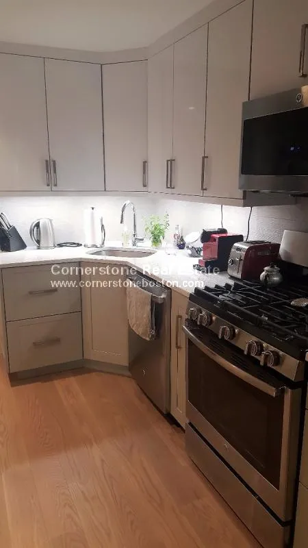 1 bed, 1 bath apartment for rent at 23 Fort Ave Unit 1, Roxbury — photo 3 of 12