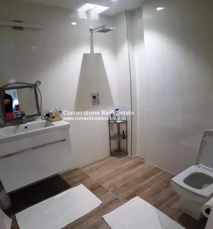 1 bed, 1 bath apartment for rent at 23 Fort Ave Unit 1, Roxbury — photo 7 of 12